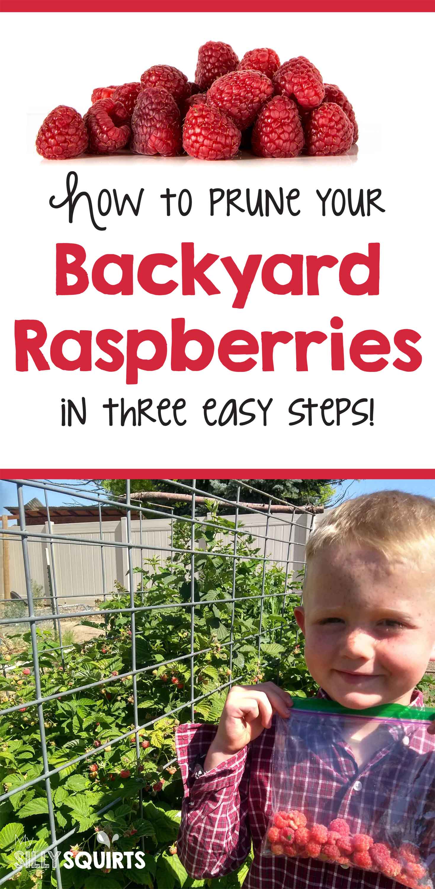 Pruning backyard raspberries in 1, 2, 3! - My Silly Squirts