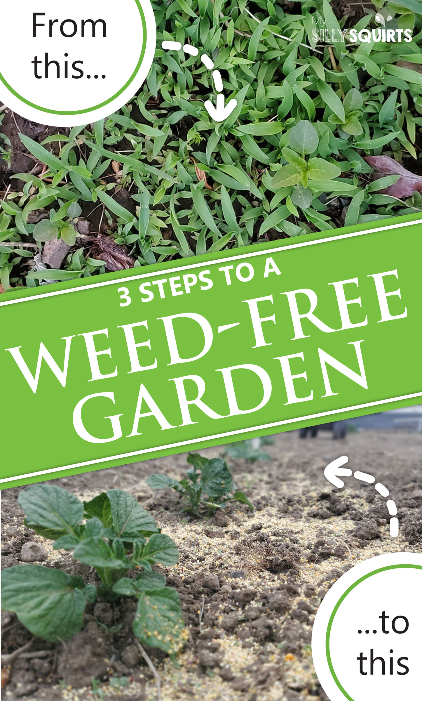 Your 3step guide to a weedfree garden My Silly Squirts