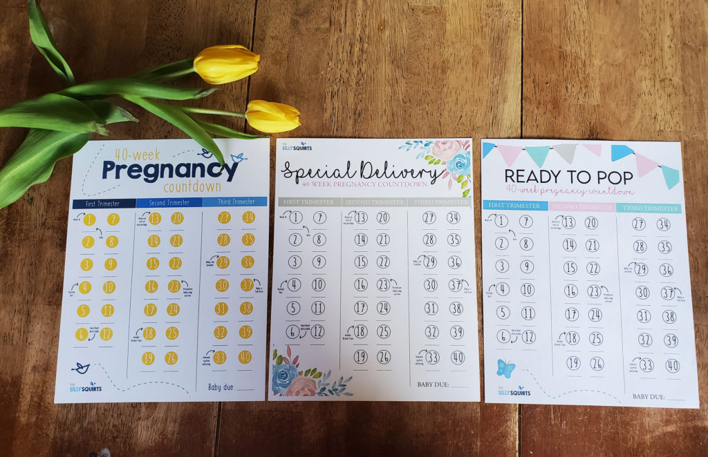 Expecting? 40-week pregnancy countdown printable - My Silly Squirts
