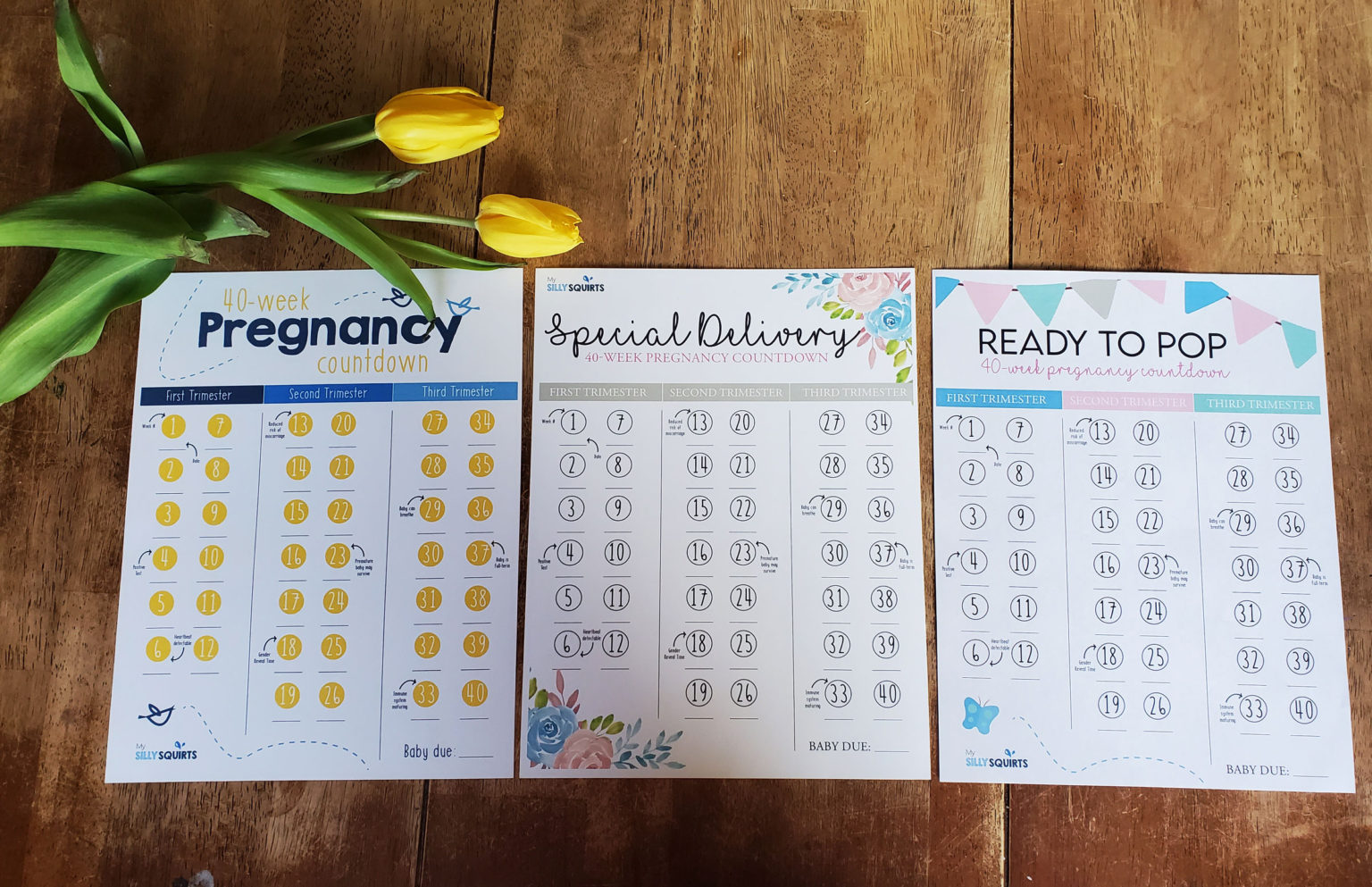 Expecting? 40week pregnancy countdown printable My Silly Squirts