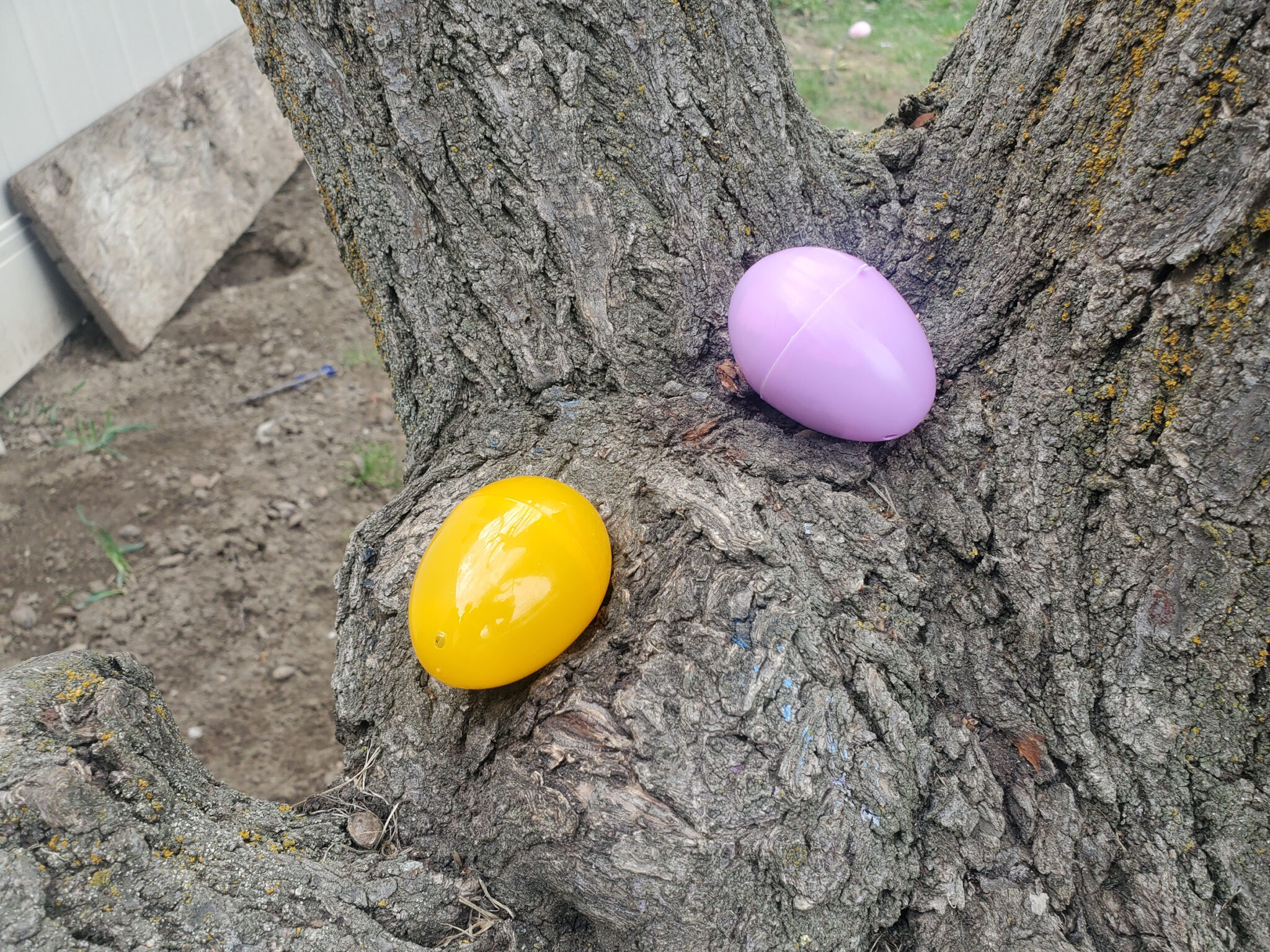 Five tips to throwing a neighborhood Easter Egg Hunt My Silly Squirts