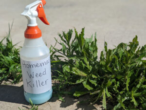 DIY Weed killer