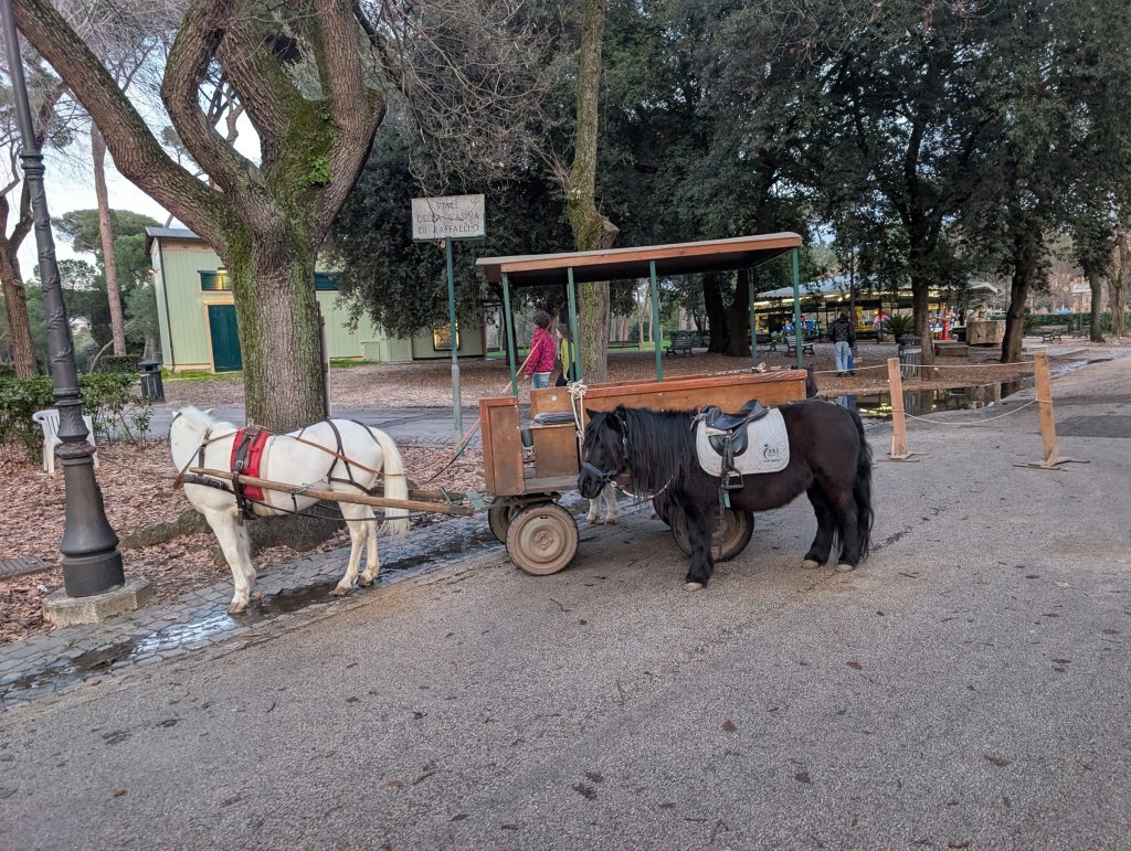 Horse-drawn carriage ride