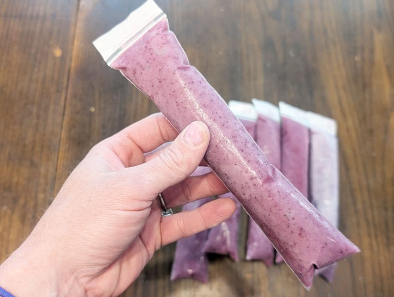 Homemade otter pops for the summer